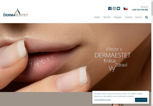 Dermaestet recenze